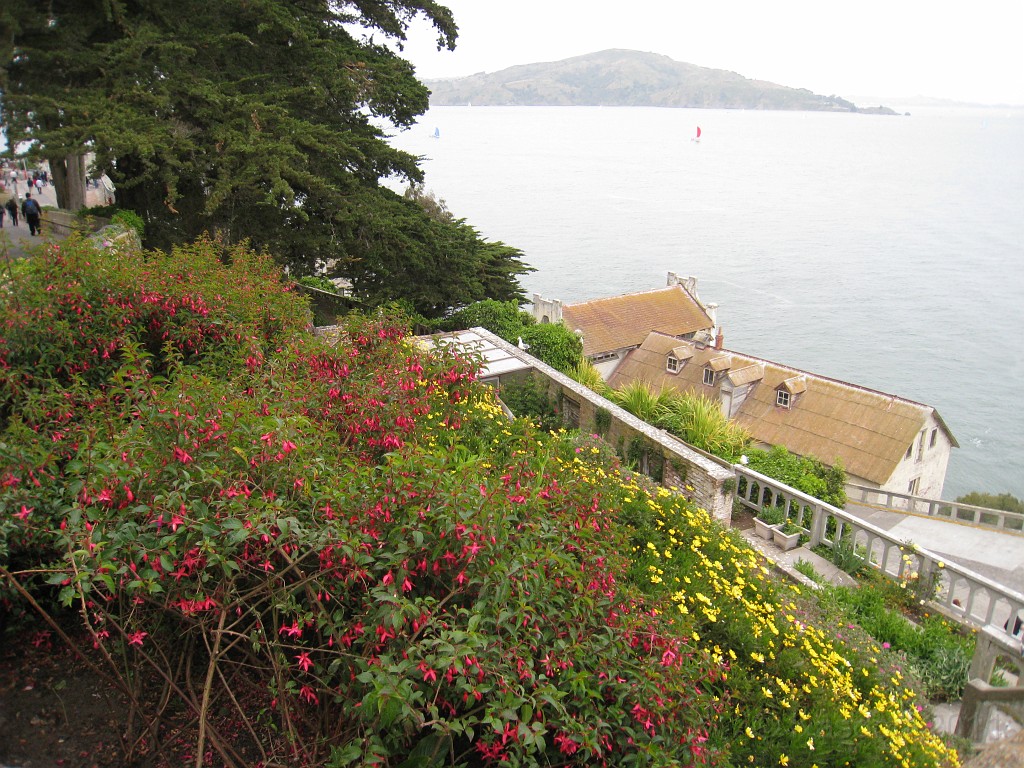 2011 Bay 2 Breakers Saturday 0495.JPG - I was able to participate in the 2011, 100th anniversary of the San Francisco Bay to Breakers 12K race. A great weekend for sight seeing and racing.